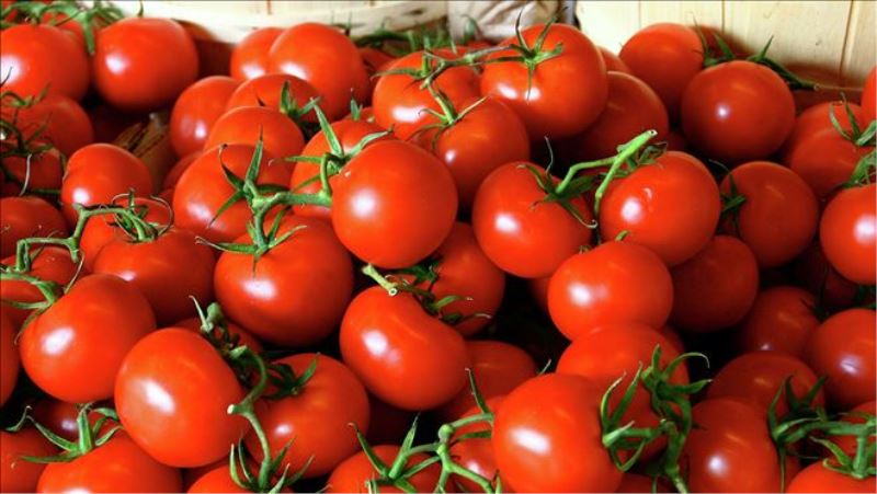 Ürünler sınır kapılarından geri döndü: Adana´da domates fiyatı bir haftada 4 liraya düştü