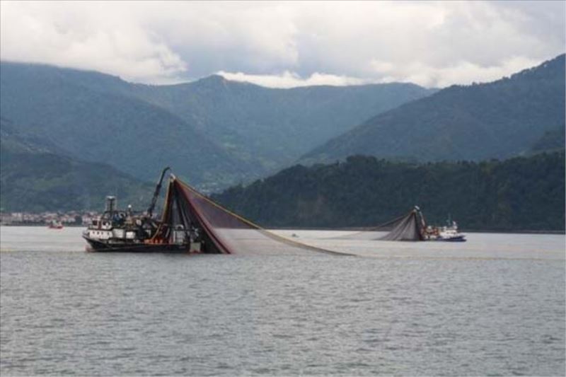Karadeniz´de deniz suyu sıcaklığı 2 derece arttı