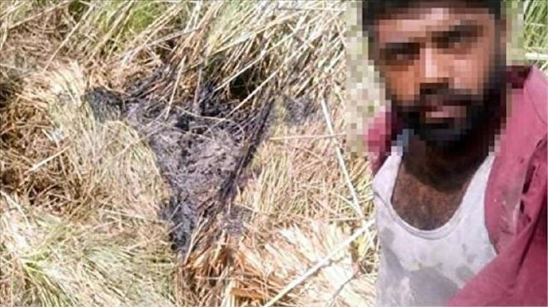 Muğla´daki yangınla ilgili 3 gözaltı: Yangın çıkarıp, selfie yapmış