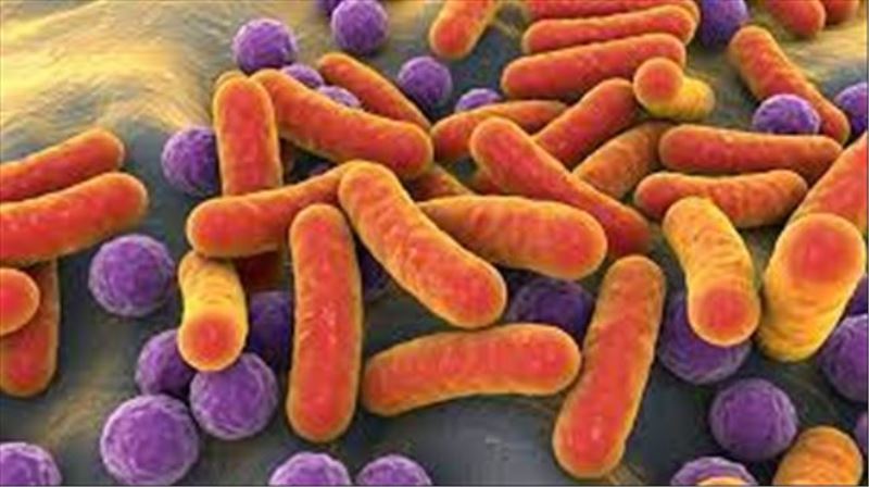 DNA analizi, Kara Veba´nın kaynağını ortaya çıkardı