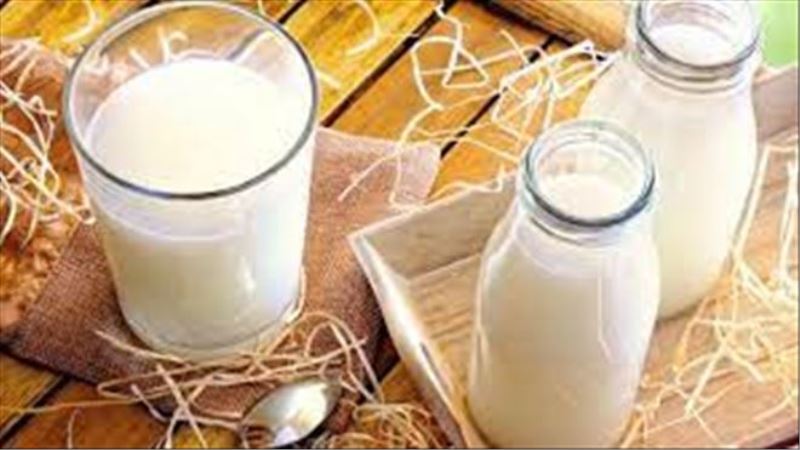 Süt ihracatında yeni yol haritası