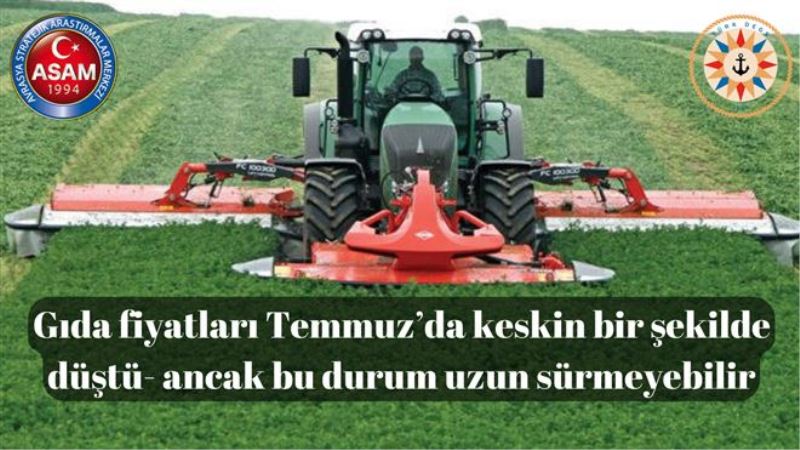 Gıda fiyatları Temmuz´da keskin bir şekilde düştü- ancak bu durum uzun sürmeyebilir