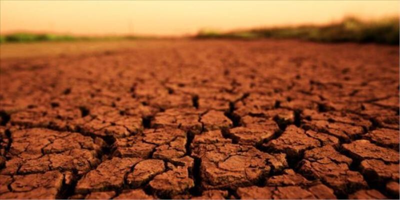 Uzmanlar, Mars´ta yetiştirilmesi gereken ilk bitkiyi belirledi
