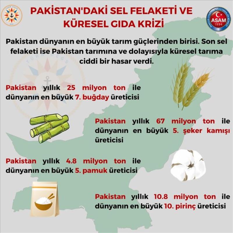 Pakistan´daki Sel Felaketi ve Küresel Gıda Krizi